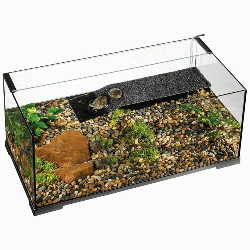 Terrarium per breshka